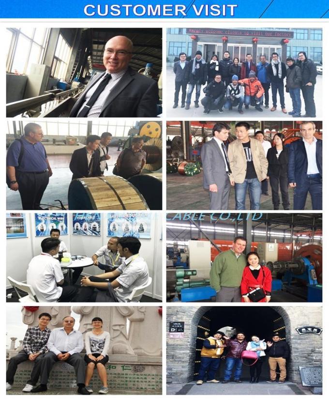 Electroplated Copper Layer Single Point Thickness 0.254mm Earthing Rod 5/8′′ 1500/1800mm