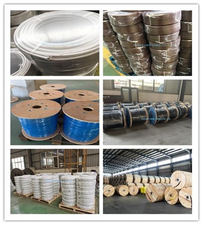 Wholesale Price 1.5mm² 2.5mm² 4mm² 6mm² 10mm² 16mm² Size Electrical Wire Cable for Home Specifications Electrical Cable