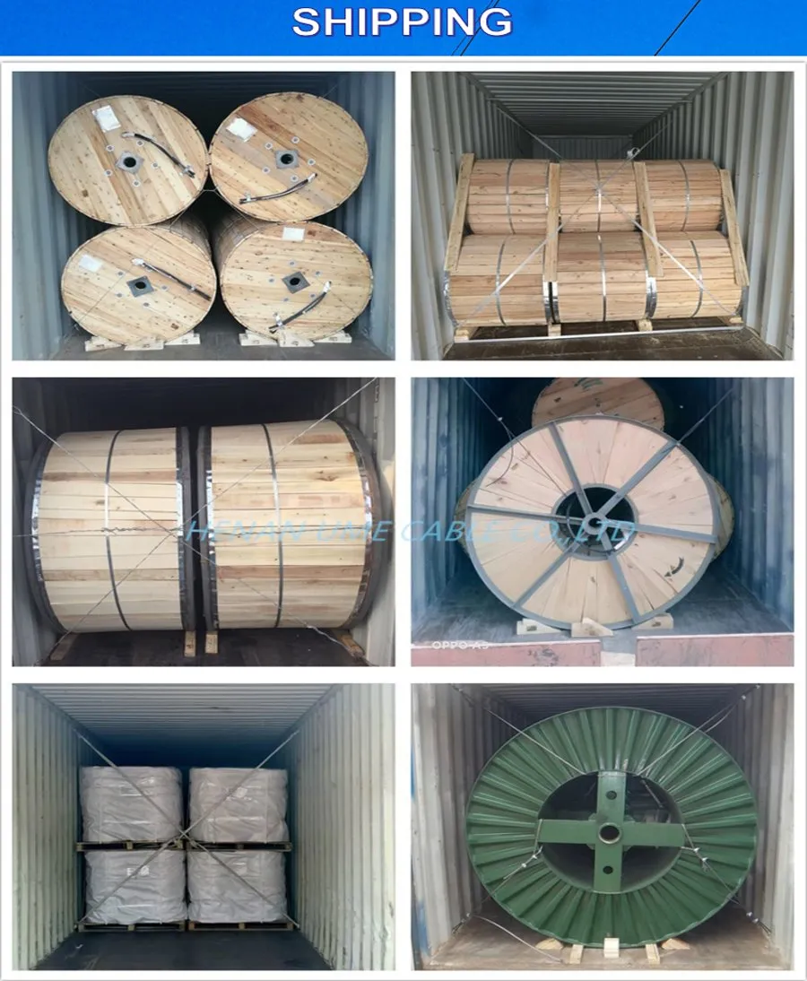El cable de conexión aérea AAC/AAAC/ACSR para la línea de transmisión de energía XLPE/PE/PVC 5