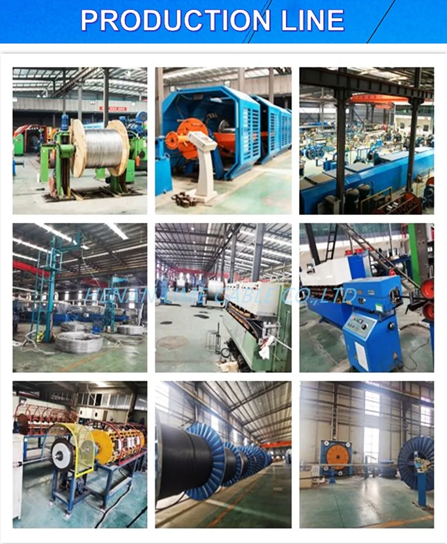 Primary and Secondary Distribution Cable Hare/Dog 100mmÂ² Aluminum Conductor Steel Reinforced